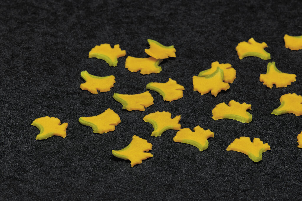 吹きよせいちょう